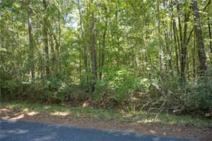 TBD NW 160TH AVE, WILLISTON, FL 32696 - MLS#MFROM711266
