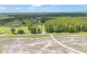 6490 167TH AVENUE, WILLISTON, FL 32696 - MLS#MFROM711286