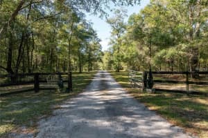 6490 167TH AVENUE, WILLISTON, FL 32696 - MLS#MFROM711286