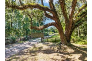 18270 N HIGHWAY 329, REDDICK, FL 32686 - MLS#MFROM711300
