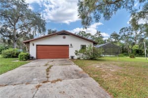 2750 179TH AVENUE, SILVER SPRINGS, FL 34488 - MLS#MFROM711324