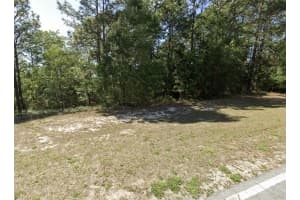 7868 N ELKCAM BLVD, CITRUS SPRINGS, FL 34433 - MLS#MFROM711325