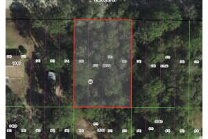 3046 E ROBERT ST, INVERNESS, FL 34453 - MLS#MFROM711326