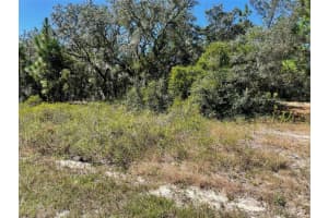 LOT 2 WINDING HILLS ROAD, DUNNELLON, FL 34431 - MLS#MFROM711330