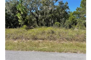 LOT 2 WINDING HILLS ROAD, DUNNELLON, FL 34431 - MLS#MFROM711330