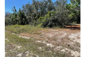 LOT 2 WINDING HILLS ROAD, DUNNELLON, FL 34431 - MLS#MFROM711330