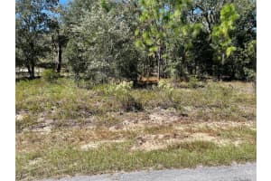 LOT 2 WINDING HILLS ROAD, DUNNELLON, FL 34431 - MLS#MFROM711330