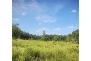 2826 174TH STREET, NEWBERRY, FL 32669 - MLS#MFROM711366