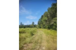 2826 174TH STREET, NEWBERRY, FL 32669 - MLS#MFROM711366