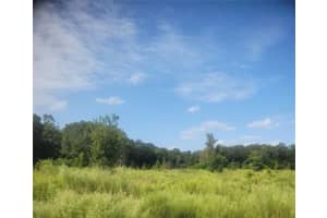 2826 174TH STREET, NEWBERRY, FL 32669 - MLS#MFROM711366