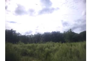 2826 174TH STREET, NEWBERRY, FL 32669 - MLS#MFROM711366