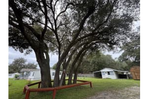 15510 NE HIGHWAY 314, SILVER SPRINGS, FL 34488 - MLS#MFROM711371