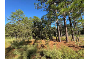 12351 67TH LANE, OCALA, FL 34481 - MLS#MFROM711406