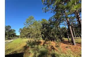 12351 67TH LANE, OCALA, FL 34481 - MLS#MFROM711406