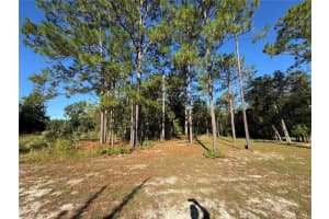 12351 67TH LANE, OCALA, FL 34481 - MLS#MFROM711406