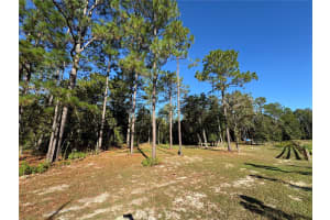 12351 67TH LANE, OCALA, FL 34481 - MLS#MFROM711406
