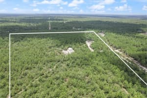 8572 LINDHURST CIRCLE, CITRUS SPRINGS, FL 34433 - MLS#MFROM711446
