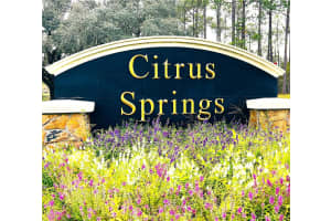 8929 ELKCAM BOULEVARD, CITRUS SPRINGS, FL 34433 - MLS#MFROM711460