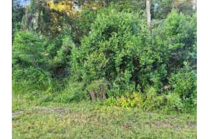 90 CEDAR RD, OCALA, FL 34472 - MLS#MFROM711463