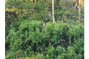 90 CEDAR RD, OCALA, FL 34472 - MLS#MFROM711463