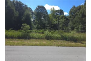 58 JUNIPER PASS, OCALA, FL 34480 - MLS#MFROM711476