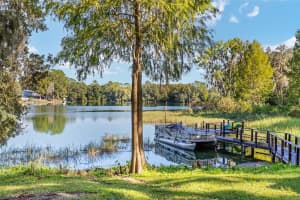 11511 CAMP DRIVE, DUNNELLON, FL 34432 - MLS#MFROM711503