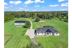 9209 W HIGHWAY 316, REDDICK, FL 32686 - MLS#MFROM711504