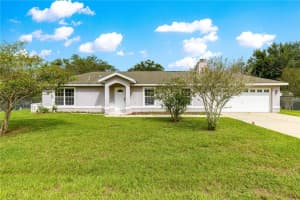 3805 139TH STREET, SUMMERFIELD, FL 34491 - MLS#MFROM711524