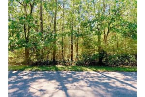 1188 PEARSON STREET, HERNANDO, FL 34442 Sold 12/09/25