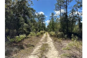 TBD 138TH AVENUE, WILLISTON, FL 32696 - MLS#MFROM711549