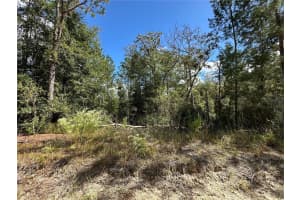 TBD 138TH AVENUE, WILLISTON, FL 32696 - MLS#MFROM711549