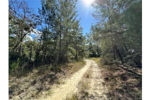 TBD 138TH AVENUE, WILLISTON, FL 32696 - MLS#MFROM711549