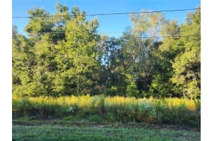 TBD WILLIOW ROAD, OCALA, FL 34472 - MLS#MFROM711551