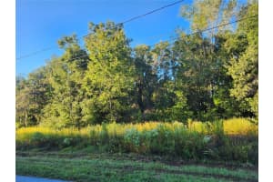 TBD WILLIOW ROAD, OCALA, FL 34472 - MLS#MFROM711551
