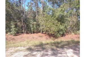 SW 67 LN, OCALA, FL 34481 - MLS#MFROM711552