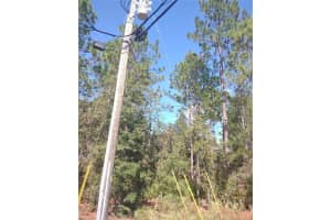 SW 67 LN, OCALA, FL 34481 - MLS#MFROM711552