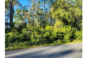 TBD REDWOOD TRACK COURSE, OCALA, FL 34472 - MLS#MFROM711559