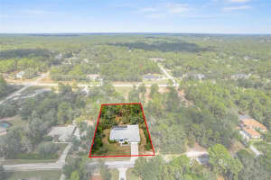 3815 BRAZILNUT ROAD, BEVERLY HILLS, FL 34465 - MLS#MFROM711575