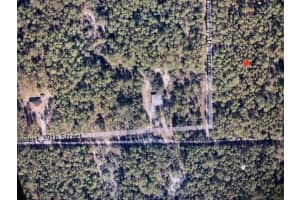 TBD LAKE TROPICANA RANCHETTES 1ST ADD, DUNNELLON, FL 34432 - MLS#MFROM711578