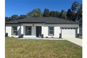 2851 142ND LANE, SUMMERFIELD, FL 34491 - MLS#MFROM711583
