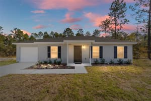 1923 DEERPARK HEIGHTS ROAD, DUNNELLON, FL 34431 - MLS#MFROM711604