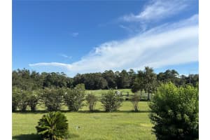 6175 193RD STREET, MICANOPY, FL 32667 - MLS#MFROM711638