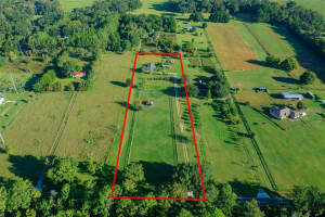 6175 193RD STREET, MICANOPY, FL 32667 - MLS#MFROM711638