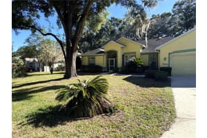 9009 194TH COURT, DUNNELLON, FL 34432 - MLS#MFROM711640
