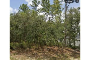 Lot 2 144TH LANE, OCALA, FL 34473 - MLS#MFROM711734