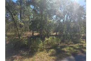 Lot 30 HOLLY ROAD, DUNNELLON, FL 34431 Sold 10/31/25