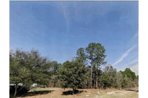MLS# MFROM711744, Dunnellon, Florida 34432