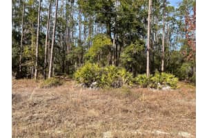 LOT 23 TIGER LAKE BOULEVARD, DUNNELLON, FL 34431 Sold 02/25/26