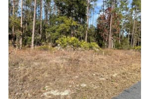 LOT 23 TIGER LAKE BOULEVARD, DUNNELLON, FL 34431 Sold 02/25/26