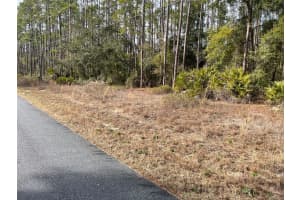 LOT 23 TIGER LAKE BOULEVARD, DUNNELLON, FL 34431 Sold 02/25/26